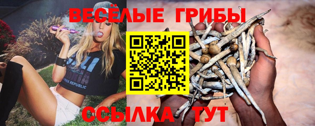 Псилоцибиновые грибы мицелий Карпинск