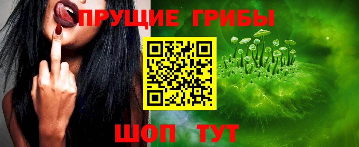 купить  сайты  Псилоцибиновые грибы Magic Shrooms  Карпинск  Вход с VPN  Галлюциногенные грибы Magic Shrooms 